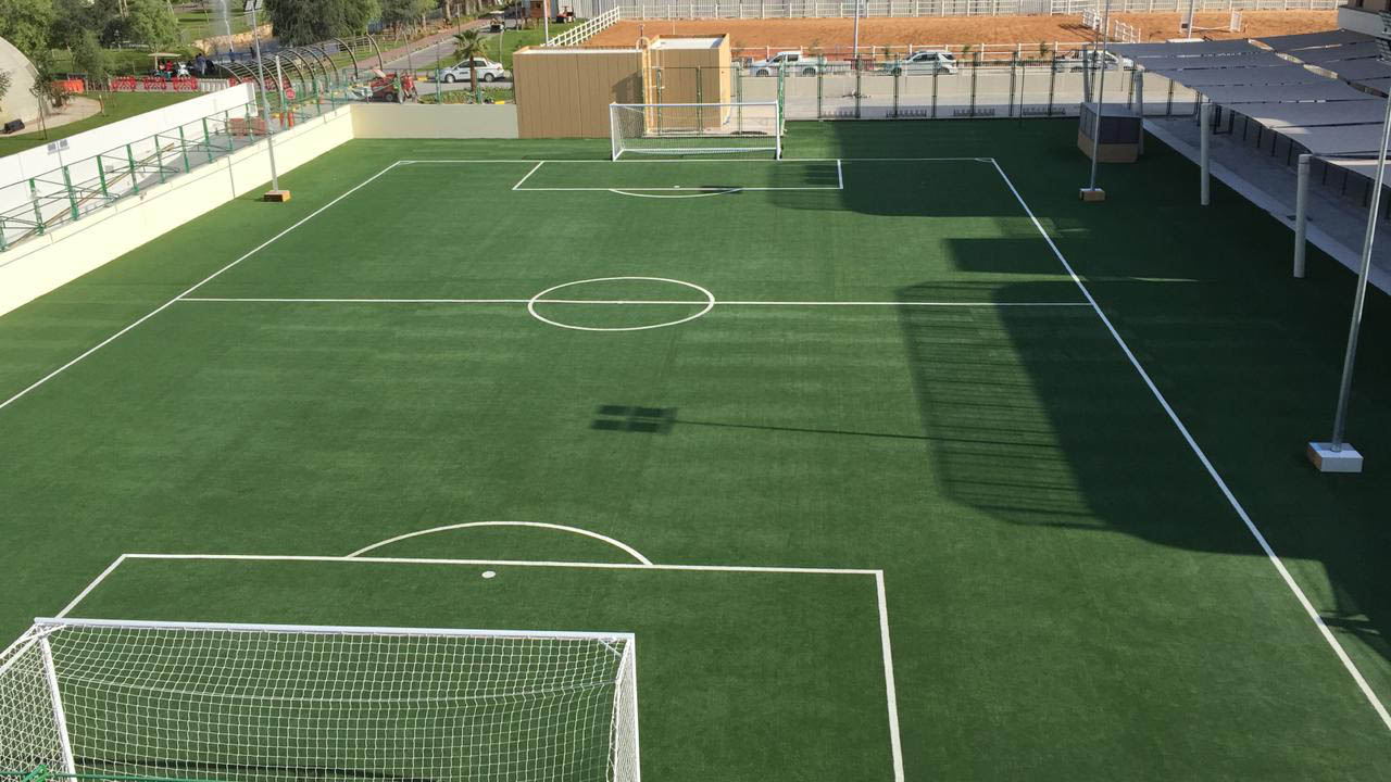 Non-infill Grass