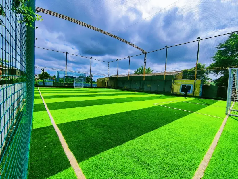 Sports & Landscaping Turf in Forest Green