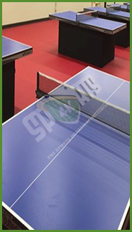 Table Tennis_ 5