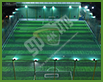 National grass_1