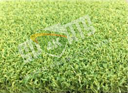 Sports Turf