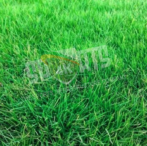 Natural Grass