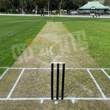 Turf Wicket